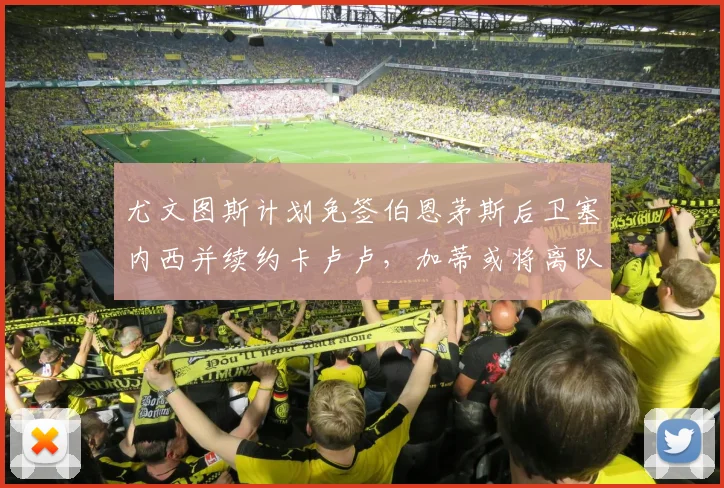 尤文图斯计划免签伯恩茅斯后卫塞内西并续约卡卢卢，加蒂或将离队