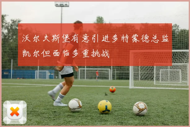 沃尔夫斯堡有意引进多特蒙德总监凯尔但面临多重挑战