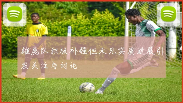 雄鹿队积极补强但未见实质进展引发关注与讨论