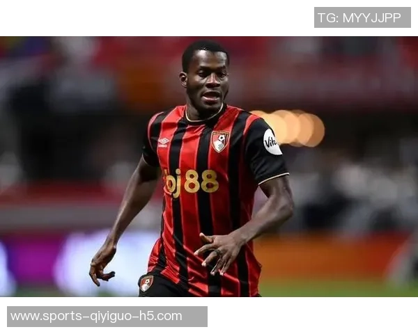 黑骑士足球俱乐部全资收购伯恩茅斯成为洛里昂唯一股东